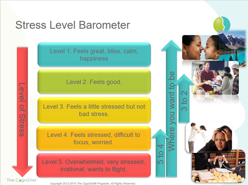 stress barometer defines the 5 levels of stress