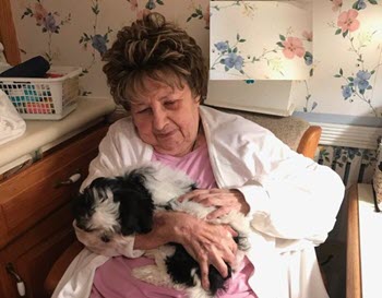 senior woman with puppy helps isolation
