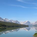 glacier national park thrives with grace and resilience